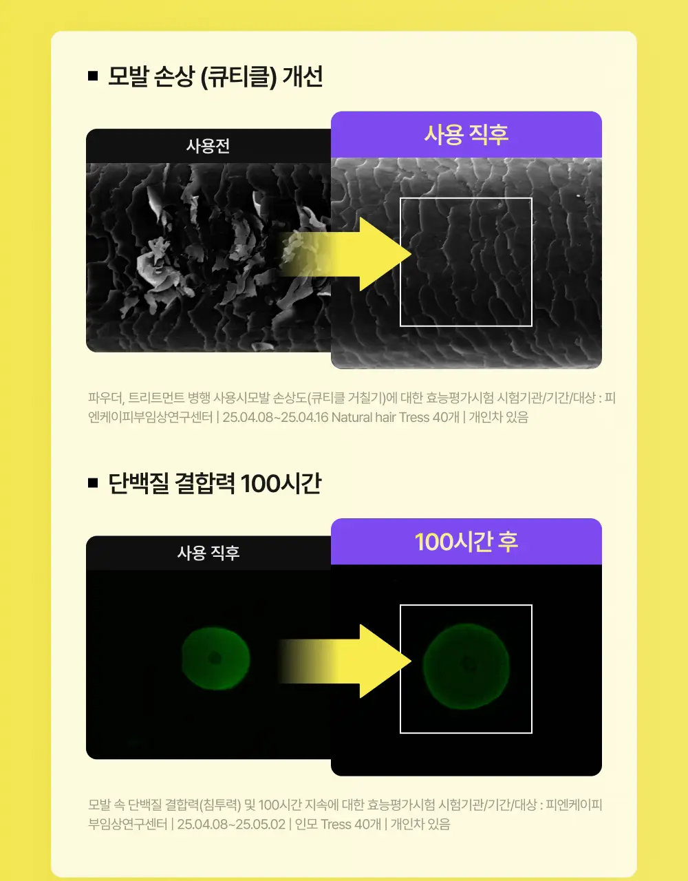 [100시간 지속] 프롬랩스 초고함량 단백질 흡착 부스터 파우더 2g*8ea 상세페이지 6
